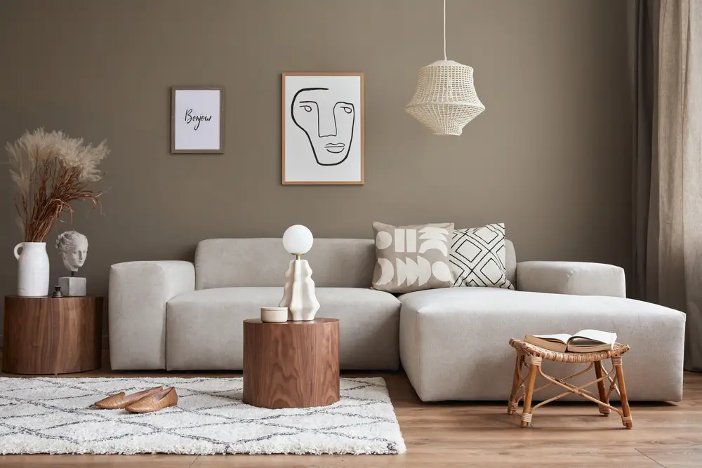 mobilier salon